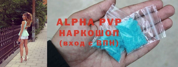 индика Коряжма