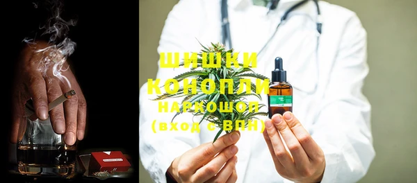 твердый Козельск
