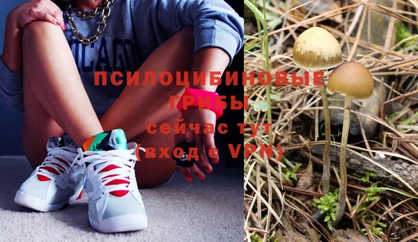 прущие крисы Киреевск