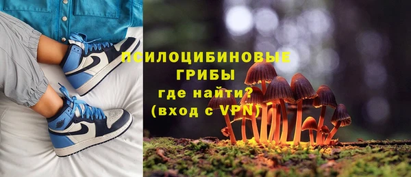 spice Костерёво