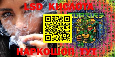 крисы Жуковский