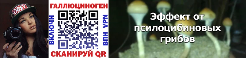 где купить   Котовск  МЕГА маркетплейс  Псилоцибиновые грибы прущие грибы 