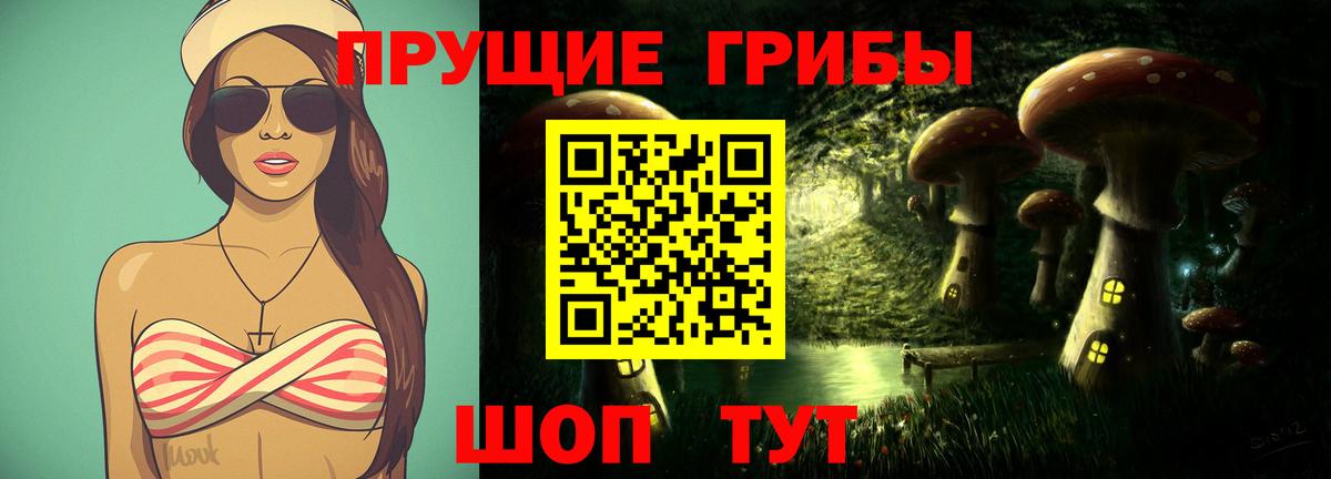 Галлюциногенные грибы GOLDEN TEACHER  Вход с VPN  Котовск 
